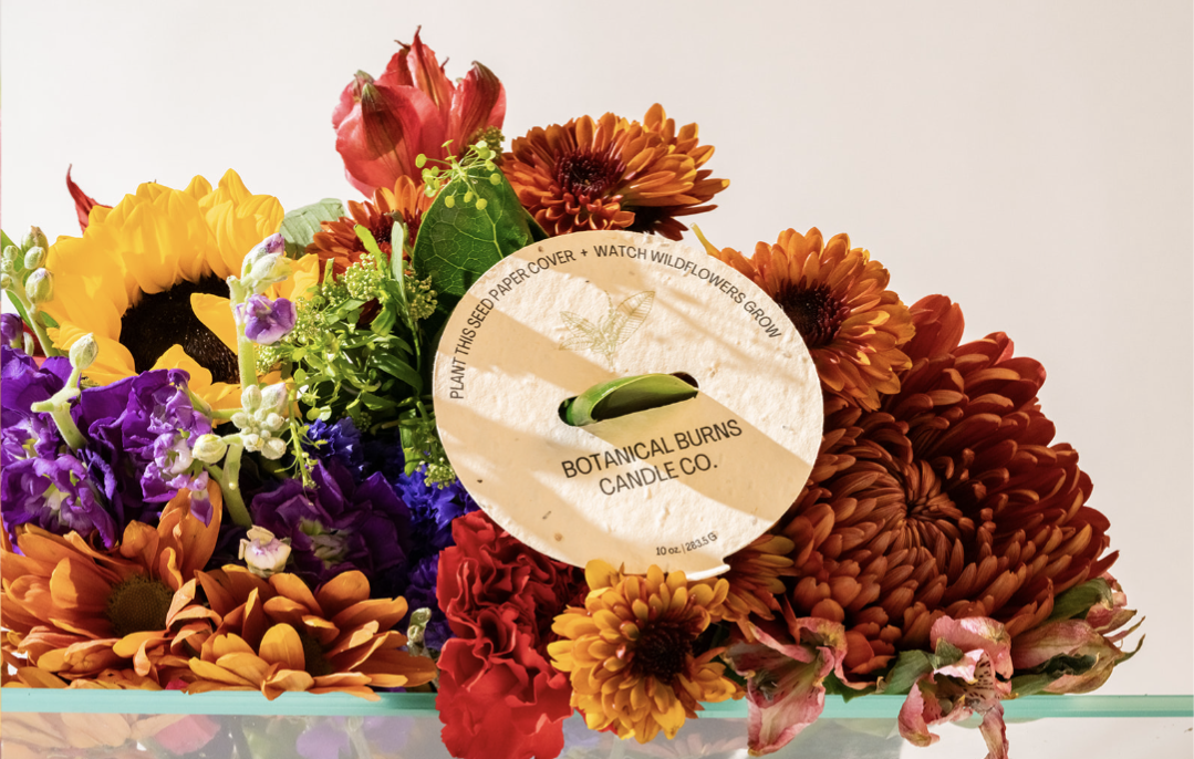 Wisconsin Northwoods