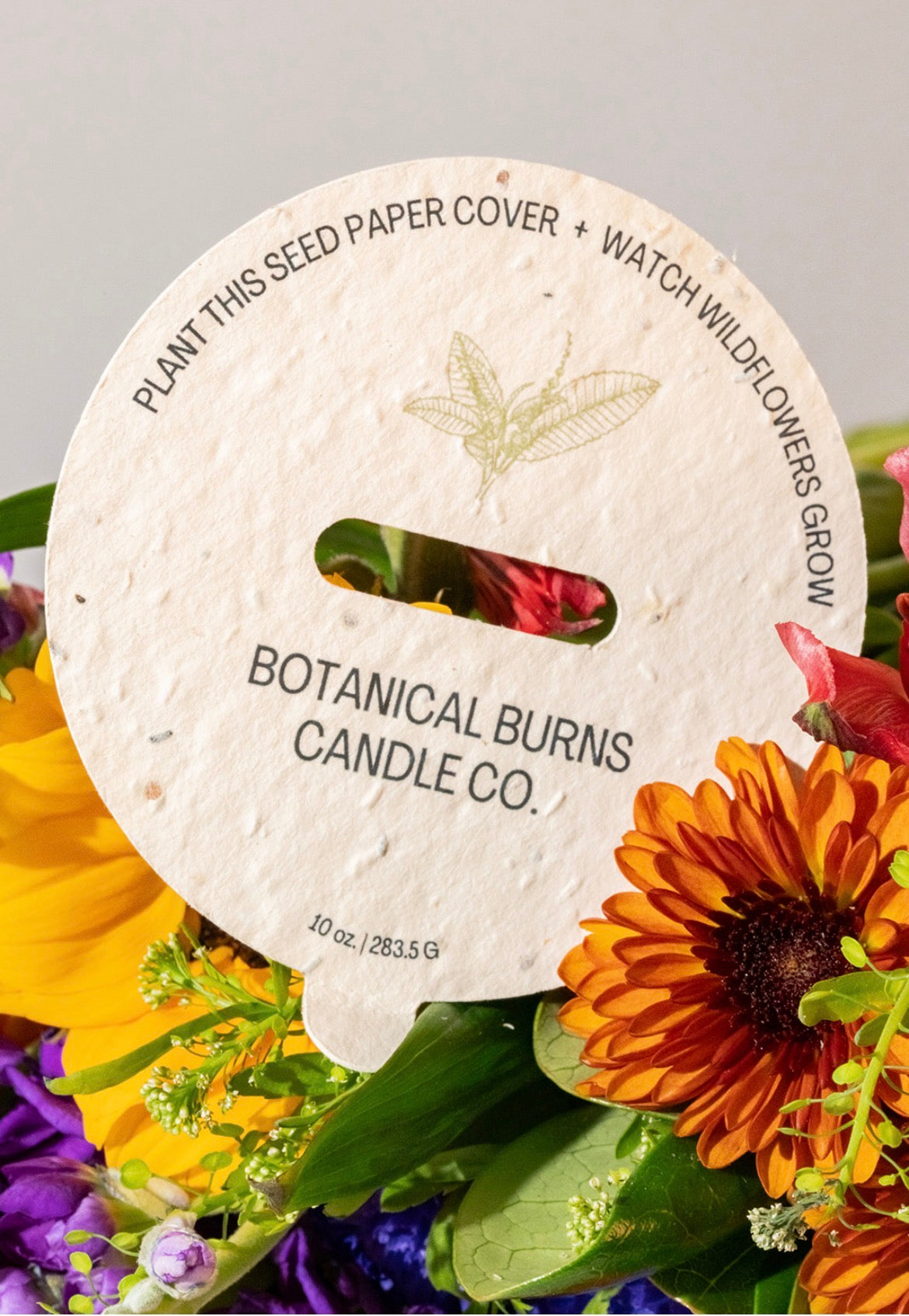 Daydreamer – Botanical Burns Candle Co.